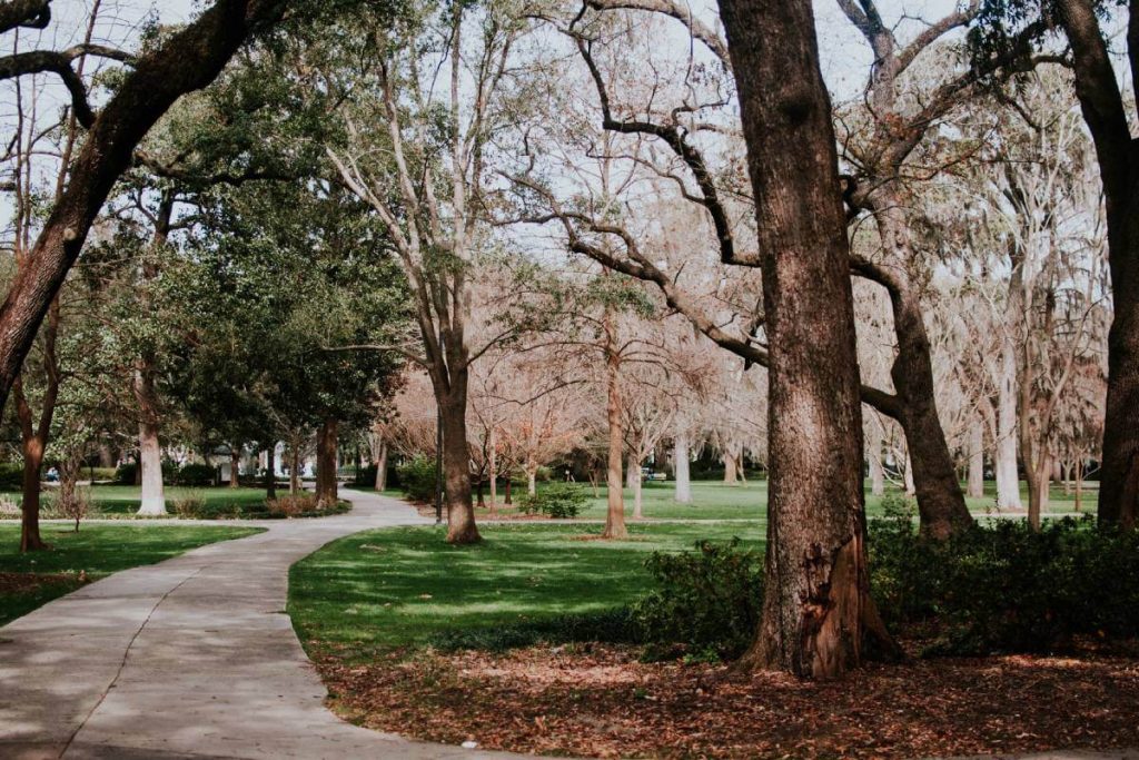 Johns Creek, GA Trending Towns